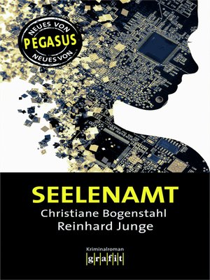 cover image of Seelenamt